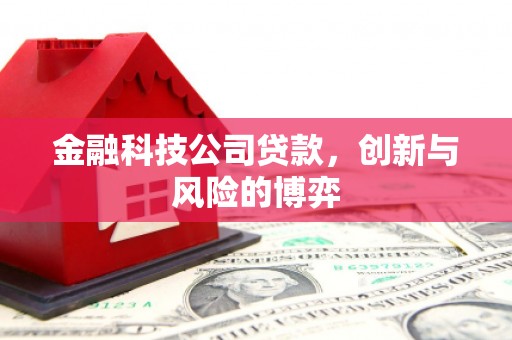 古丈金融科技公司贷款，创新与风险的博弈