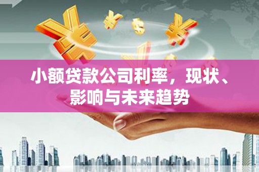 古丈小额贷款公司利率，现状、影响与未来趋势