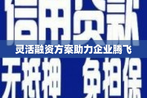 古丈灵活融资方案助力企业腾飞