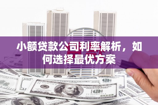 古丈小额贷款公司利率解析，如何选择最优方案