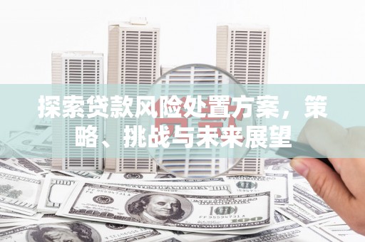 古丈探索贷款风险处置方案，策略、挑战与未来展望