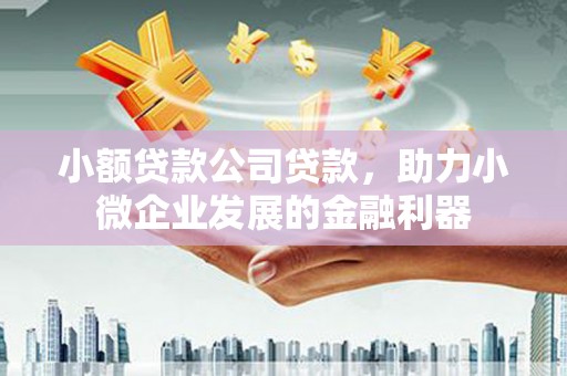 古丈小额贷款公司贷款，助力小微企业发展的金融利器