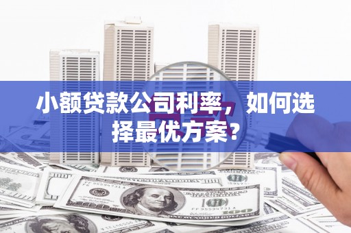 古丈小额贷款公司利率，如何选择最优方案？