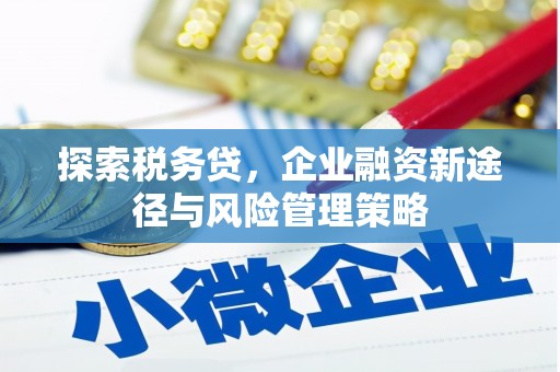 古丈探索税务贷，企业融资新途径与风险管理策略