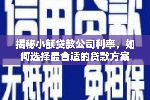 古丈揭秘小额贷款公司利率，如何选择最合适的贷款方案