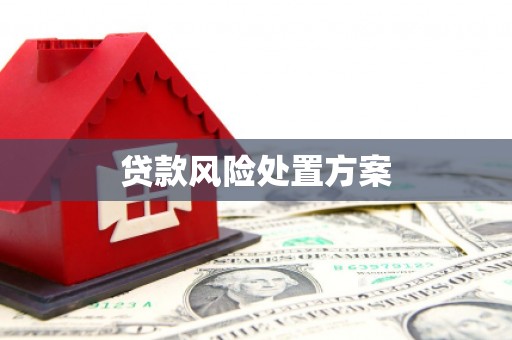 古丈贷款风险处置方案