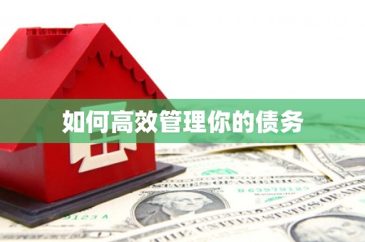 古丈如何高效管理你的债务