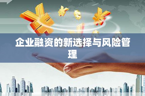 古丈企业融资的新选择与风险管理